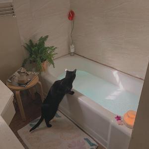 女人扒开腿让男人操
