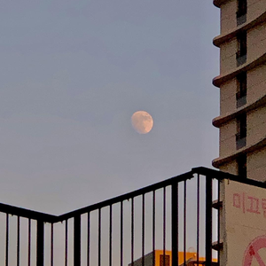 女人扒开腿让男人操
